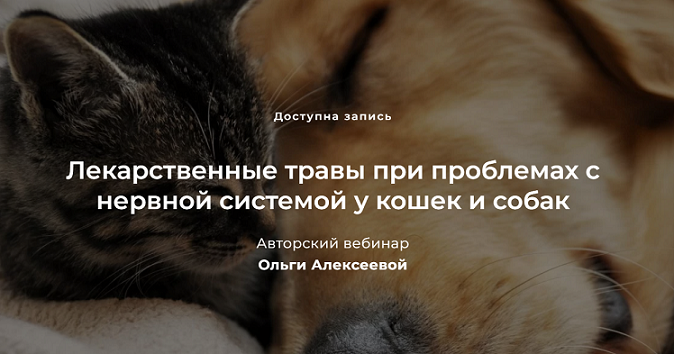 2022-01-13_15-13-05.png