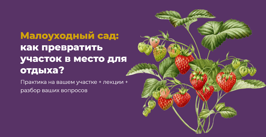 2025-08-08_234525.png