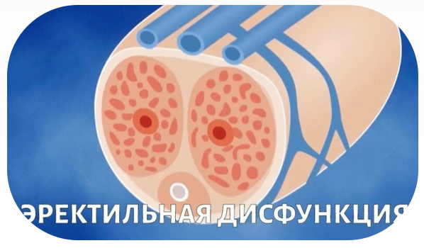 2025.10.21_140337.png