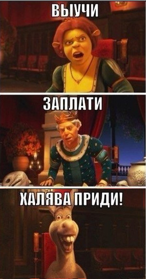 266.jpg