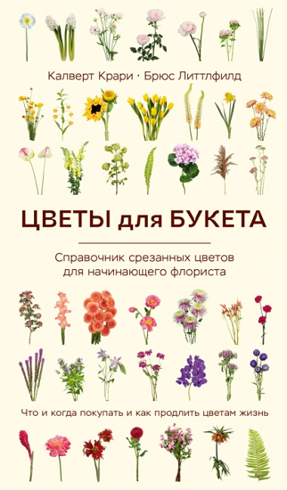 71126032.png