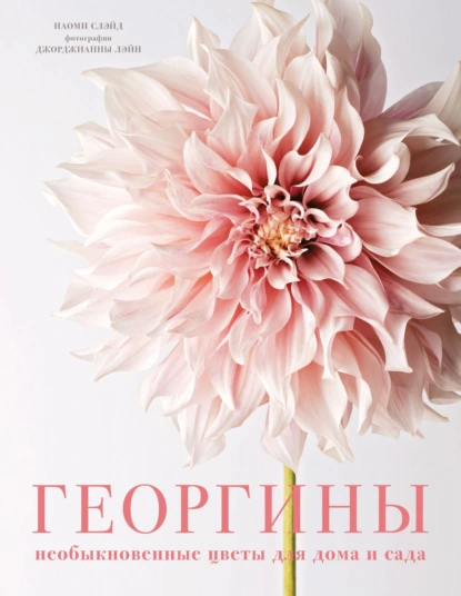 71153734.png