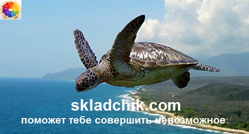 !!!!!!_zhenili.jpg