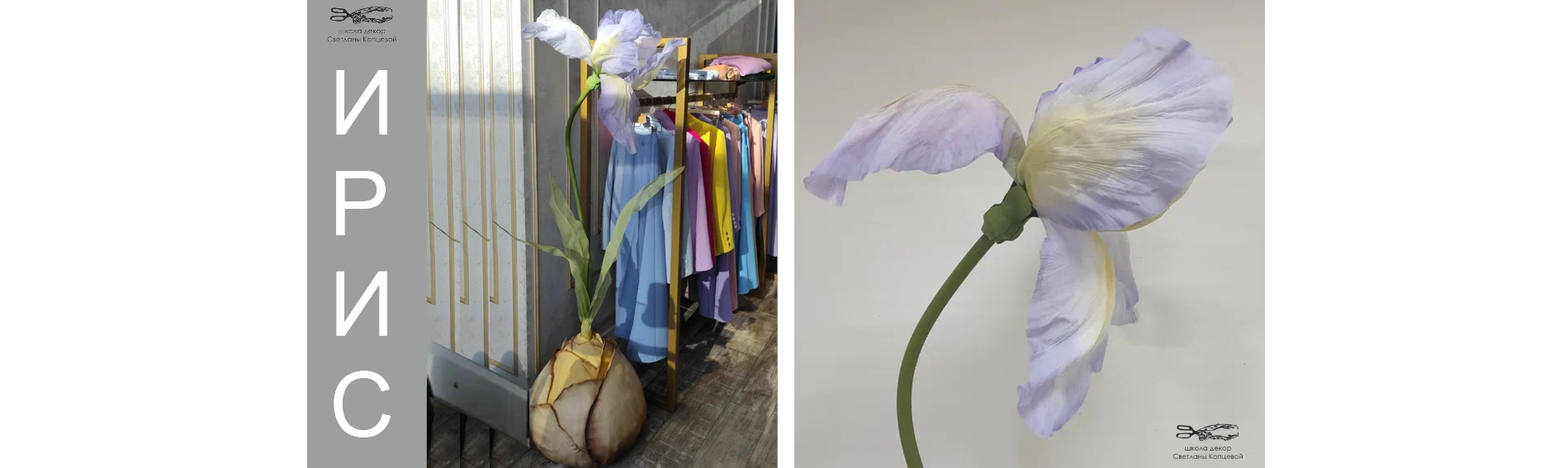 Без имени.png