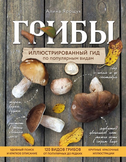 cover1__w820 (6).jpg