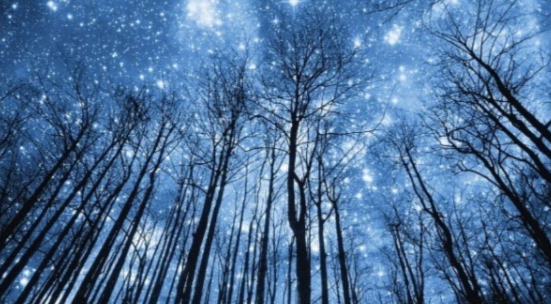 Дараган картинка (1).jpg