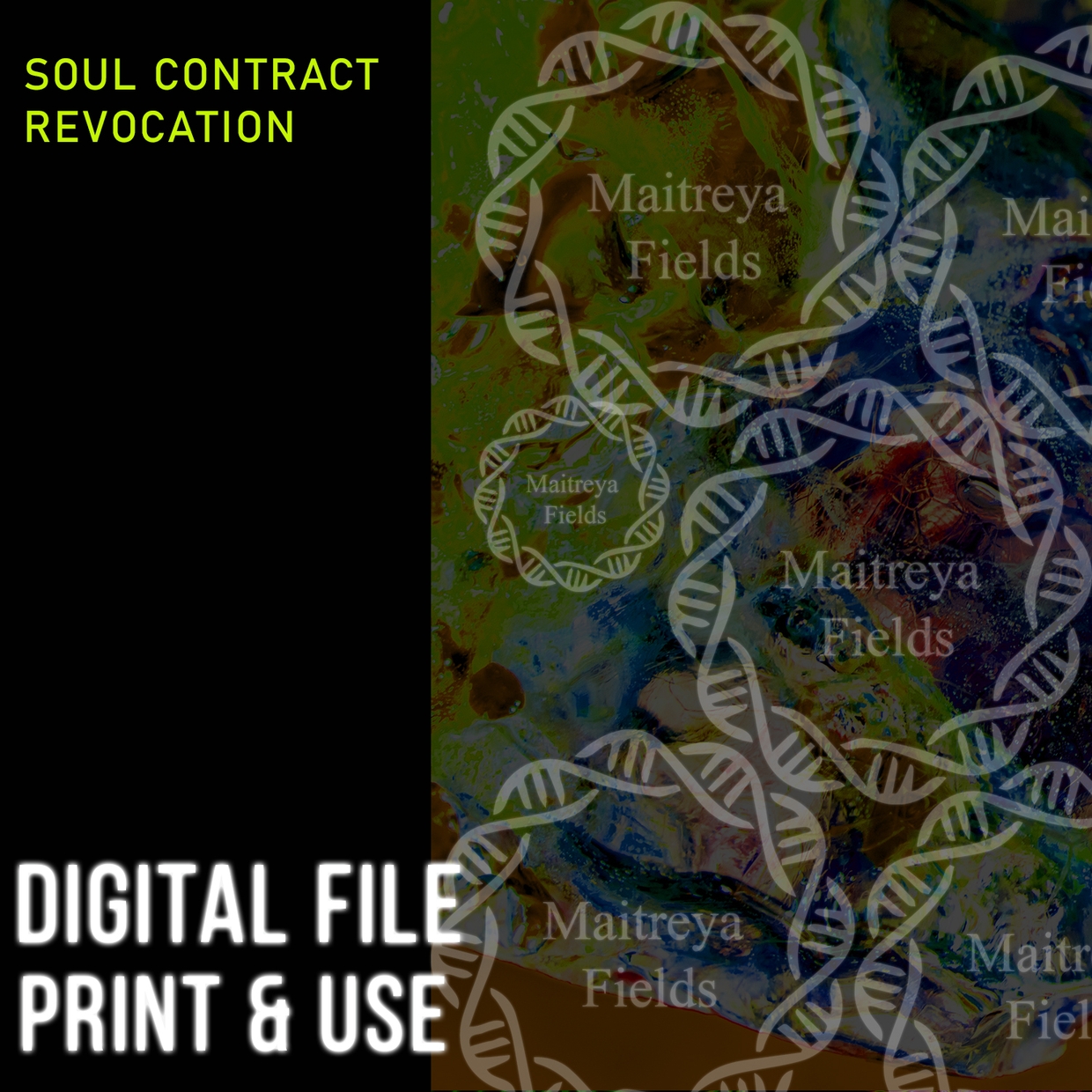 digital_road.jpg