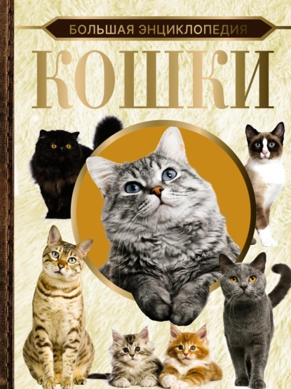 изображение_2022-09-12_120552316.png