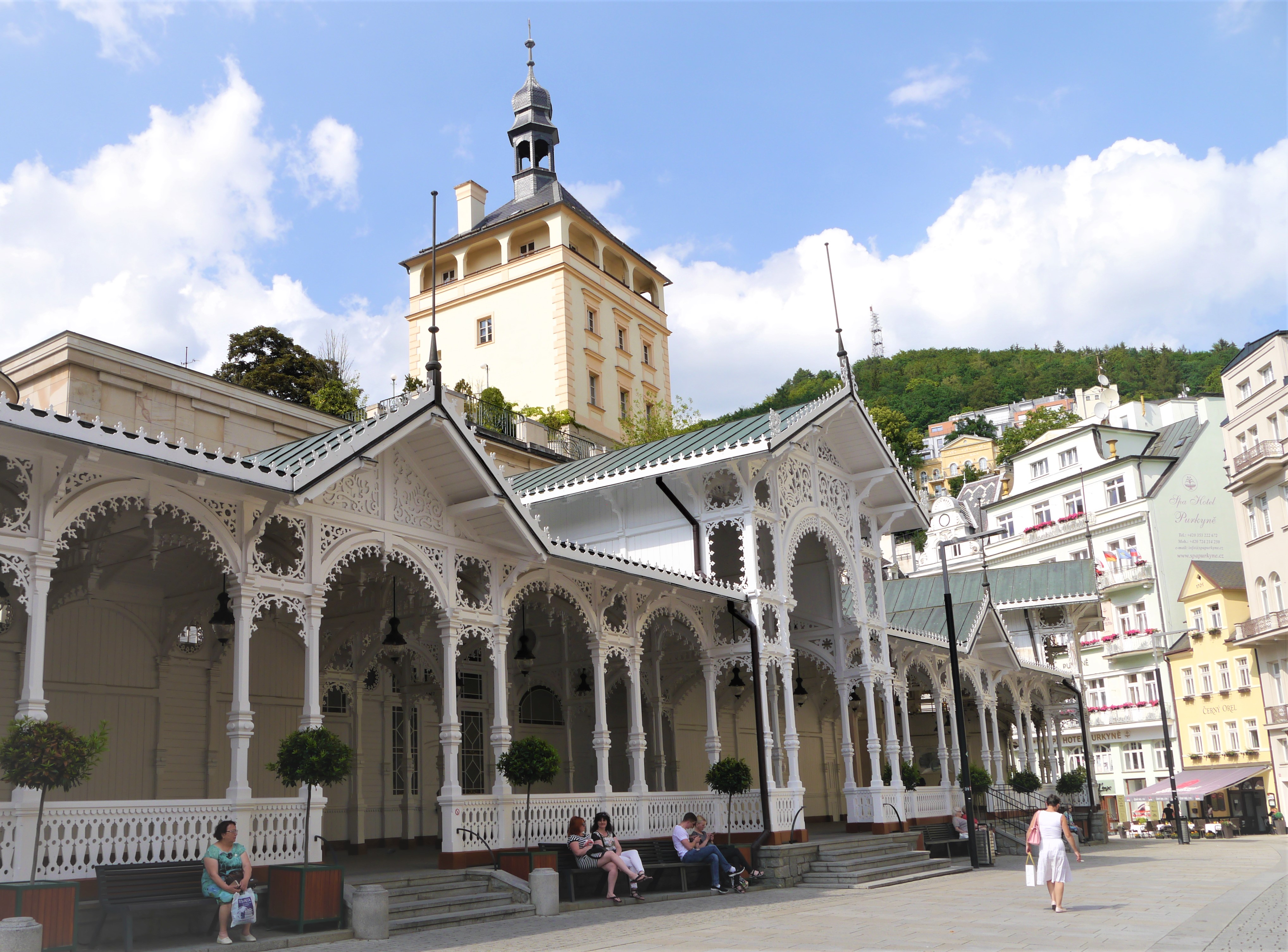 P1080665-1.jpg