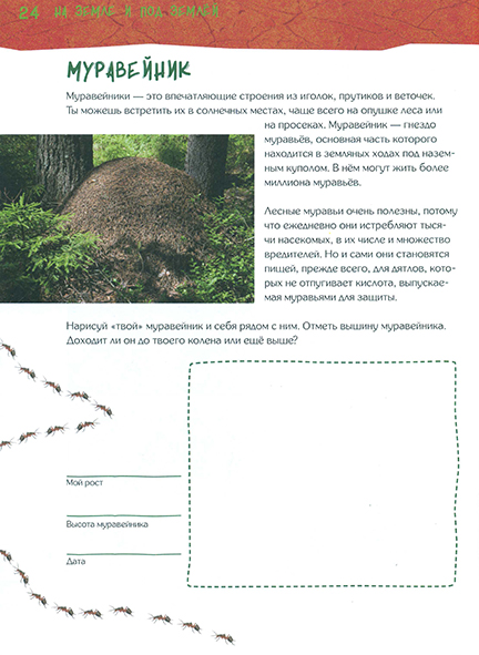 Pages from ФИКСИКИ.  Дневник наблюдений - гуляем по лесу и изучаем природу-2_Page_1n.jpg