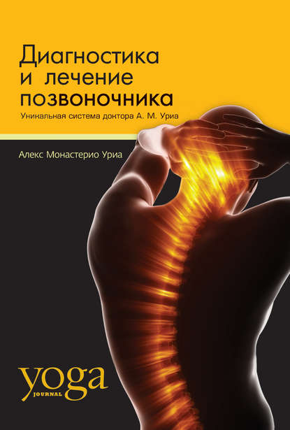 позвоночник.jpg