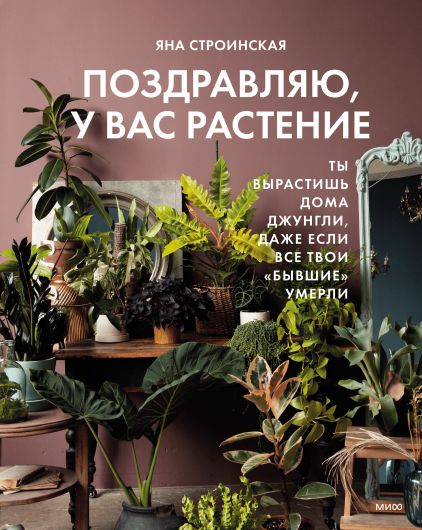 растение.png