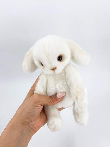teddy02.jpg