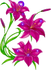 upload_2023-9-24_15-25-20.png