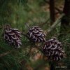 dhg3ewOGUTBnc-LVI38fiAQd4KvDvK_efQfOr8SWHQXcltjuAEgPOkRmJK7SeUvOpiqk4H_B9fYpRWwvkav1en35.jpg
