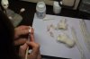 test5fa91de4ccd937.24905334.jpg