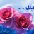 abdulla abdulla